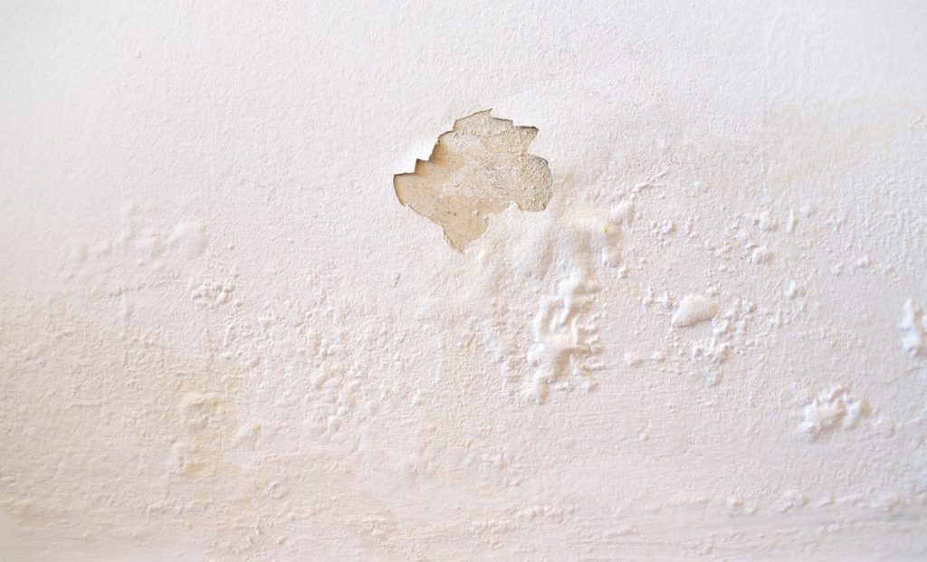 Peinture écaillée