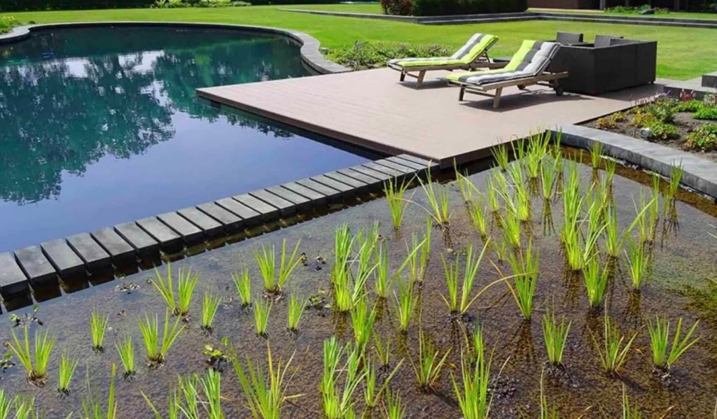 Piscine Naturelle