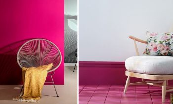 Couleur Fuchsia