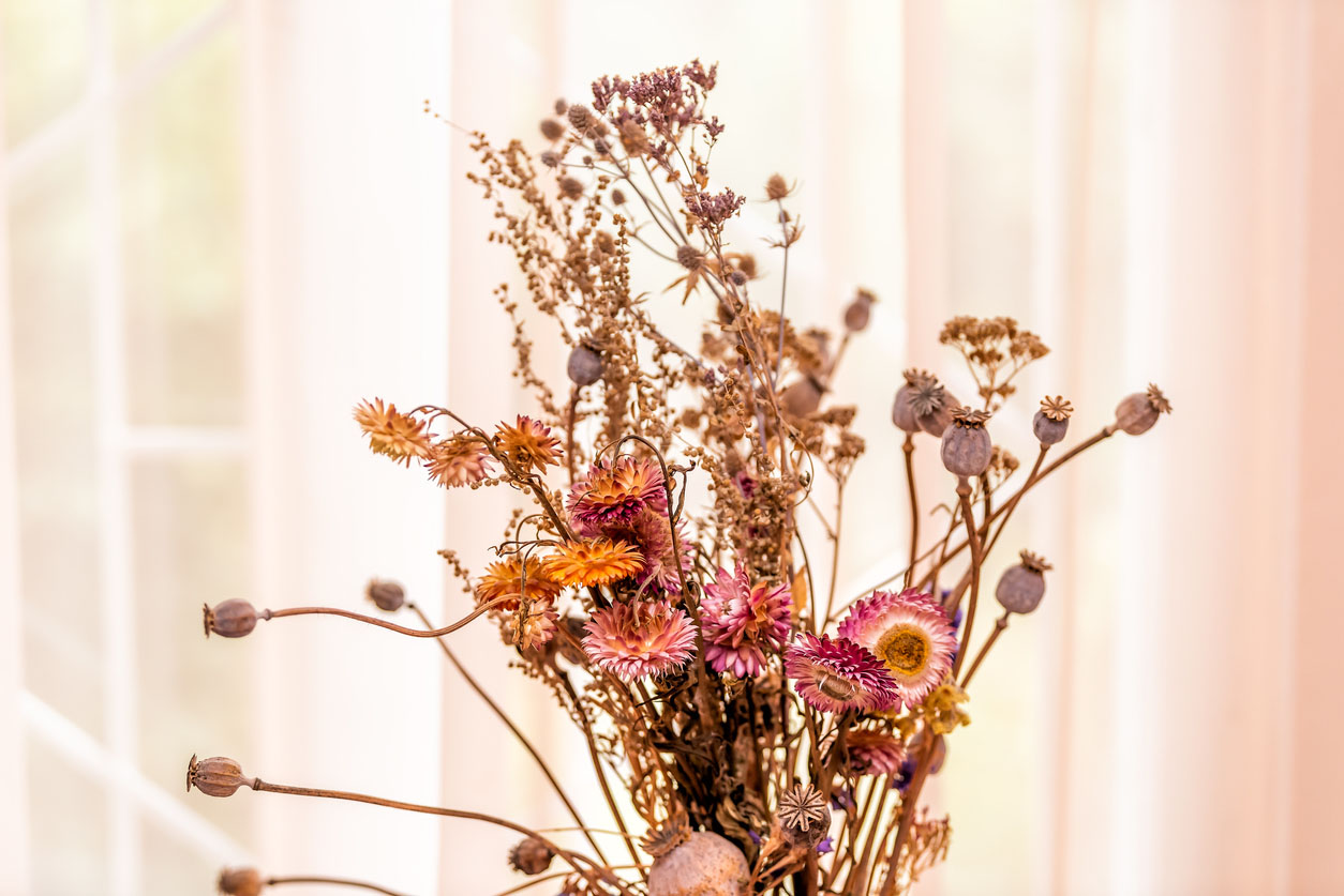 Bouquet de fleurs séchées arrangement de marguerites Gerbera et feuilles marron Vintage rouge couleurs par fenêtre de la maison avec lumière du soleil rétro