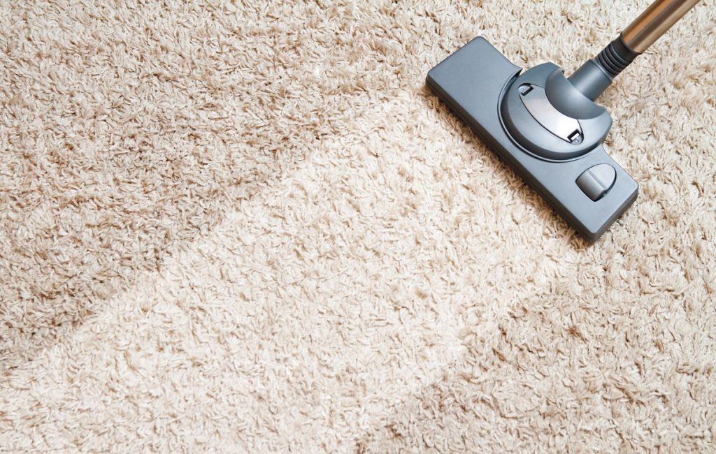 Eliminer Mites Tapis