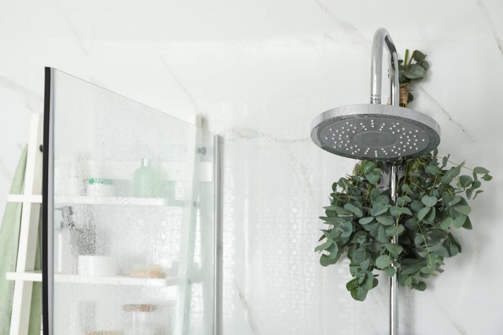 Douche avec branche d'eucalyptus
