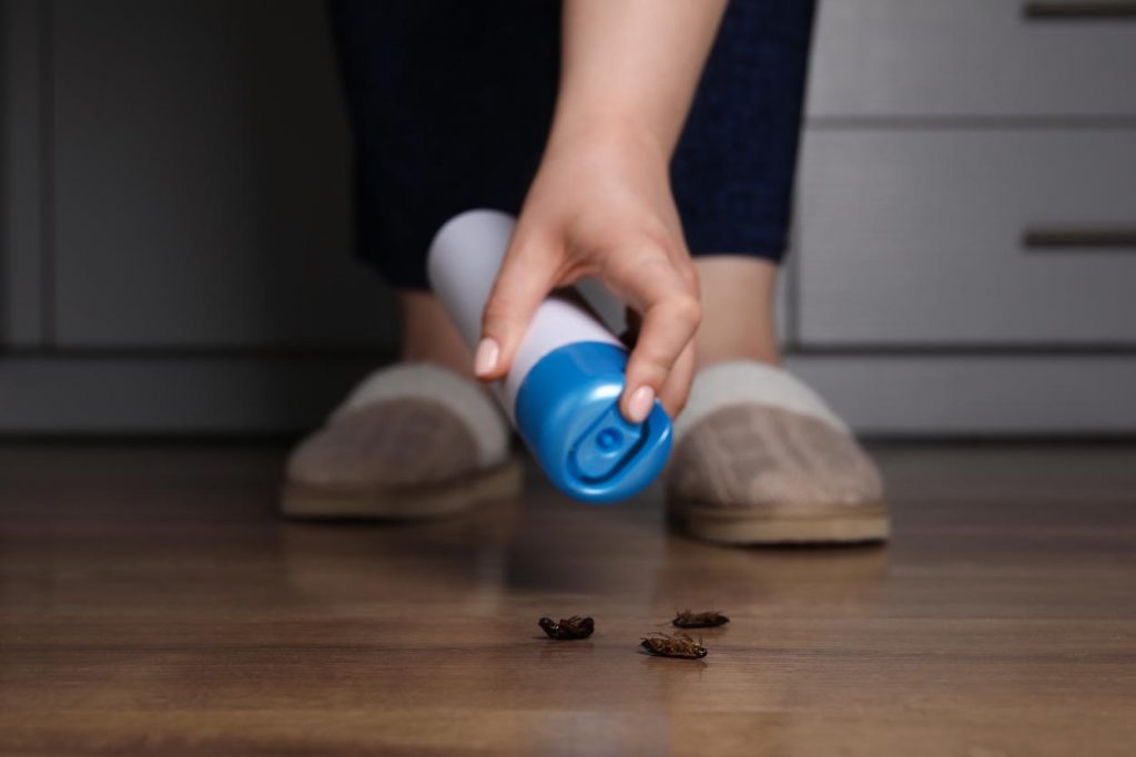 Femme pulvérisant de l’insecticide sur les cafards
