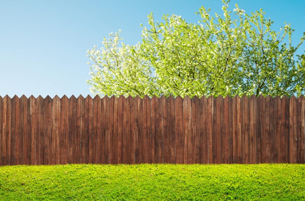 Arbre derrière la cloture en bois