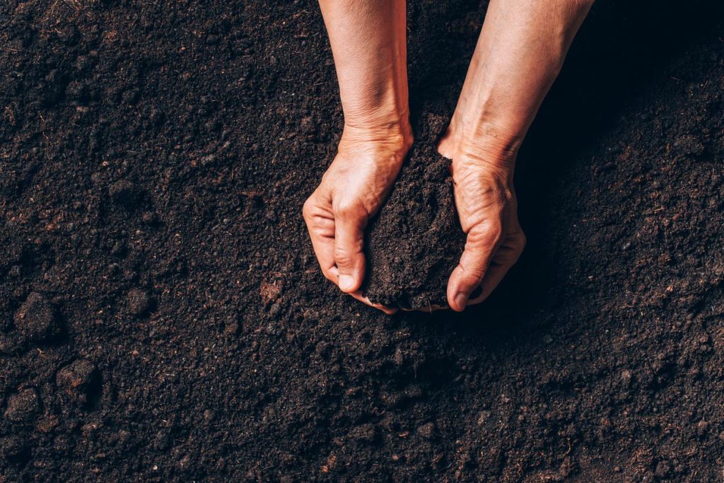 Mains d'homme dans la terre