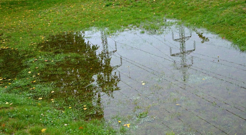 Pelouse qui n'absorbe pas l'eau correctement
