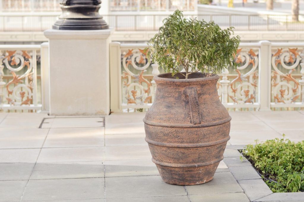 Grand pot de fleur avec plante verte