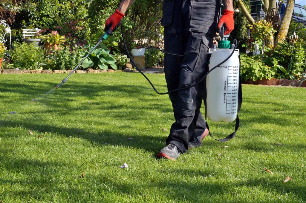 Homme pulvérisant sur sa pelouse