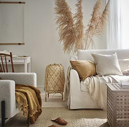 Chambre Cat