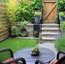Jardin Cat