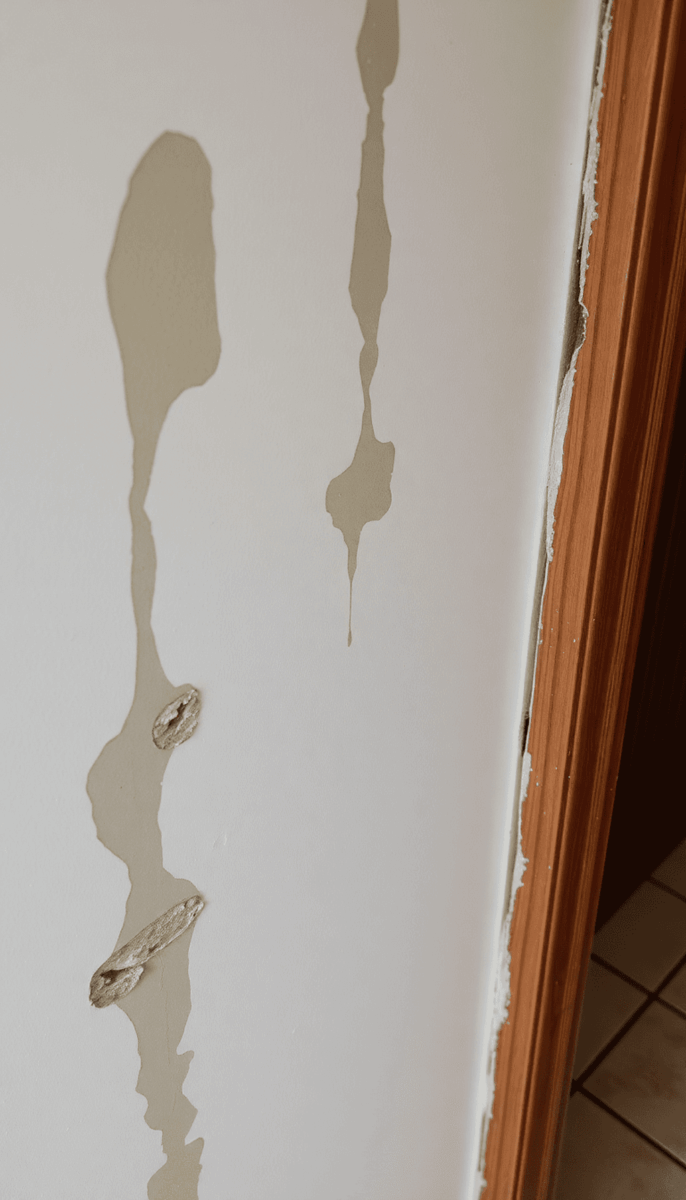 Gros plan sur un mur intérieur endommagé avec des taches d'eau, de la peinture écaillée, de la moisissure, du bois déformé et des carreaux fissurés...